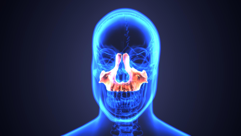 Septul Interradicular