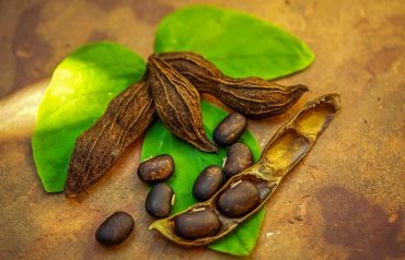Pastilele Dopa Mucuna
