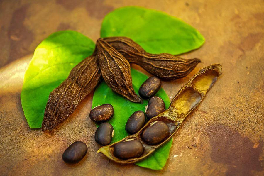 Pastilele Dopa Mucuna: ce sunt și cum funcționează