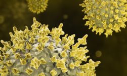stafilococ aureus