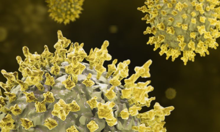 stafilococ aureus