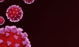 virusul hepatitic D
