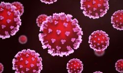 virusul hepatitic E
