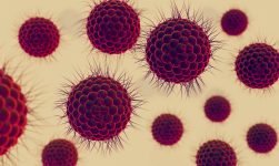 virusul hepatitic G