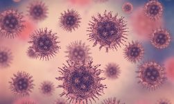 virusul herpes 6