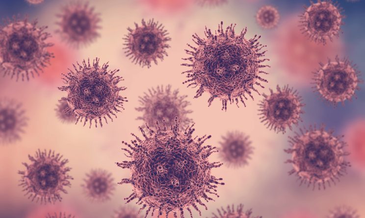 virusul herpes 6